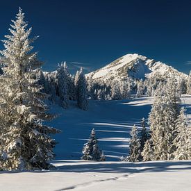 Winter hiking in the Tannheim Valley in the morning under blue skies by Daniel Pahmeier