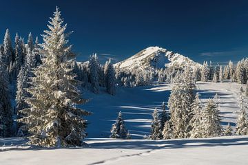Winterwandern im Tannheimer Tal morgens bei blauem Himmel