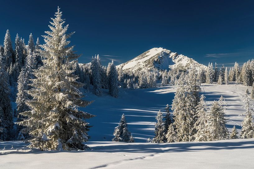 Winter hiking in the Tannheim Valley in the morning under blue skies by Daniel Pahmeier