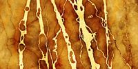 MARBLED CEYLON YELLOW v3a by Pia Schneider thumbnail