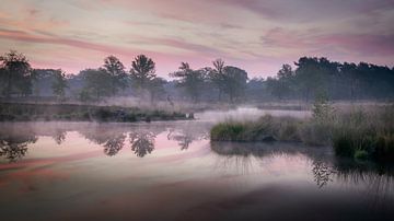 Vennen ontwaken in pastelkleuren van Michel Seelen