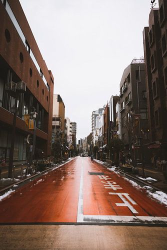 Asakusa: Het Hart van Oud TokyoAsakusa, een van de meest historische wijken van Tokyo, biedt een charmante mix van het verleden en het heden. Met zijn oude tempels, traditionele markten en levendige festivals, vormt Asakusa een essentieel onderdeel van de Tokyo-ervaring. Bezoekers kunnen door de straten wandelen, genieten van authentieke Japanse snacks, en de rijke geschiedenis en cultuur van deze bijzondere wijk absorberen.