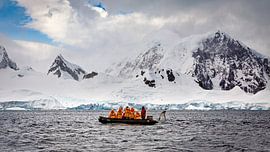 Observation des baleines dans l'Antarctique sur Roland Brack