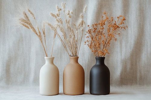 Transience of Nature in Autumn Colors ii