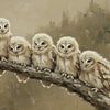 Stilleven Vijf Jonge Uilen op Tak van By Marjolein Design