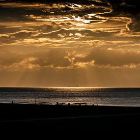 Schip in de zon van Arno dreef