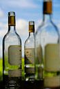 Vin du Pays van Jan van Schooten thumbnail