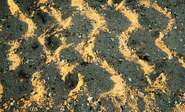 Gouden uur op zand van Stella Ammerlaan