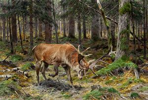 Hirsch auf einer Waldwiese, Richard Friese