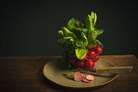Radis, Raphanus sativus, nature morte classique