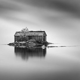 Swans at a boat shed in Norway by Sem Wijnhoven