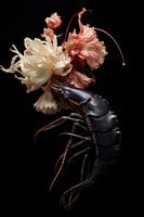 Still life black lobster