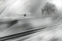 Run Forrest, run