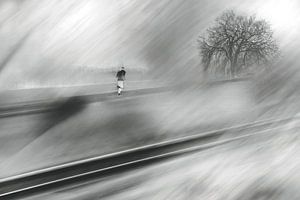 Run Forrest, run by Jurjen Biesbroek