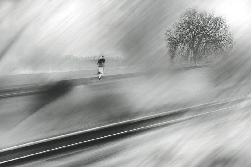 Run Forrest, run von Jurjen Biesbroek