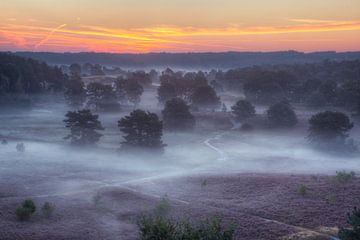 Schaduwen in de mist van Marc Crutzen