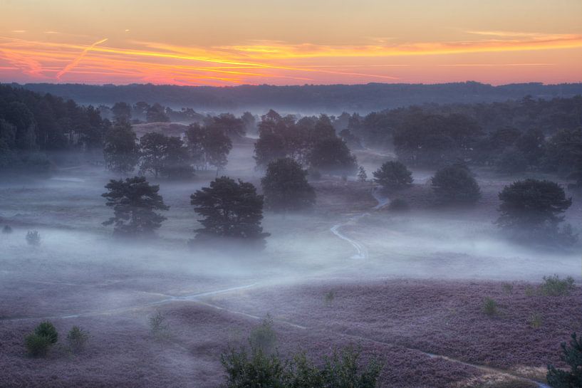 Schaduwen in de mist par Marc Crutzen