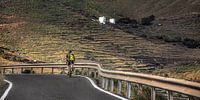Cyclist on a small road uphill on the island of Lanzarote by Harrie Muis thumbnail