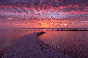 Lever de soleil flamboyant au Veluwemeer