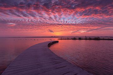 Zonsopkomst aan het Veluwemeer van Edwin Mooijaart