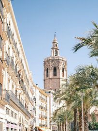 Valencia's beautiful Architecture // Spain // Travel and Street Photography by Diana van Neck Photography