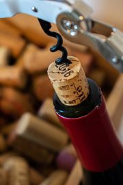 tire-bouchon sur Claudia Bouman