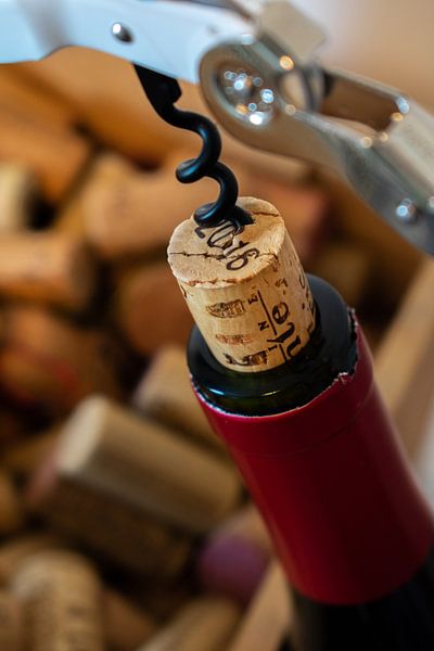 corkscrew by Claudia Bouman