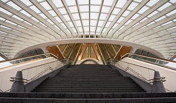 Station Mons van Monnie