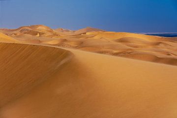 Dunes by Alex Neumayer