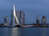 Erasmusbrug Rotterdam