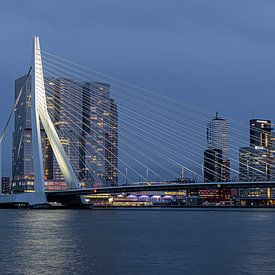 Erasmus Bridge Rotterdam by Havenfotos.nl(Reginald van Ravesteijn)