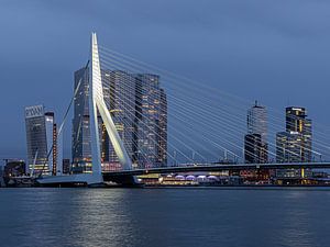 Pont Erasmus Rotterdam sur Havenfotos.nl(Reginald van Ravesteijn)