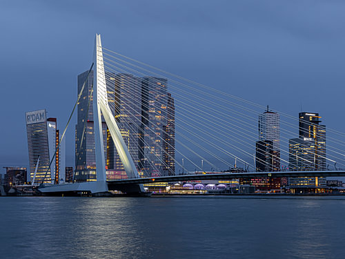 Erasmusbrug Rotterdam