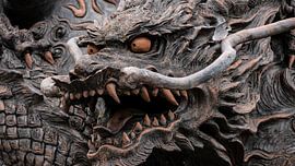 Beeld draak - Dichtbij van Maikel van Maanen