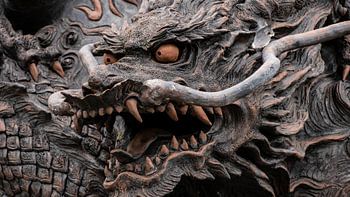 Beeld draak - Dichtbij