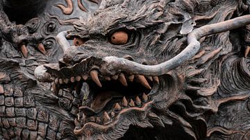 Beeld draak - Dichtbij
