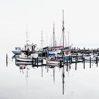 De haven