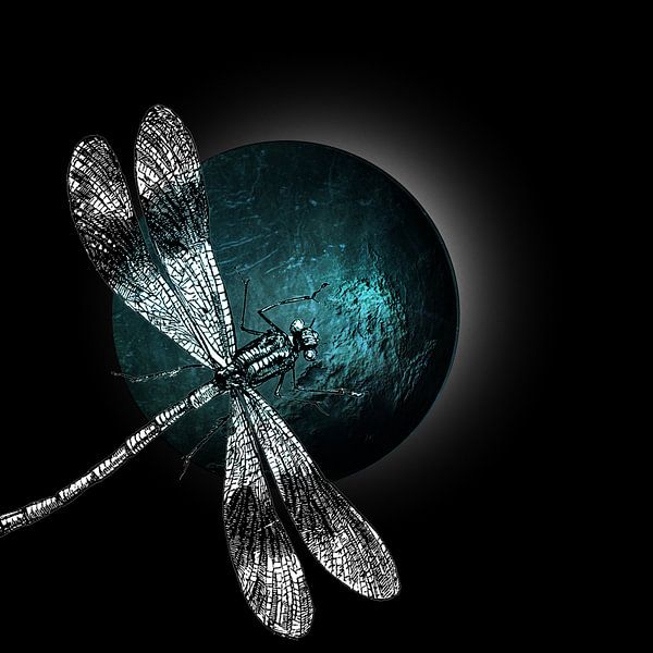 DRAGONFLY IV von Pia Schneider