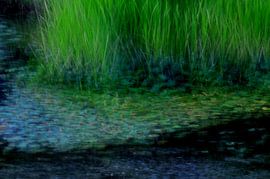 TEICH 3