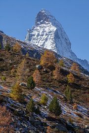 Zermatt : Matterhorn