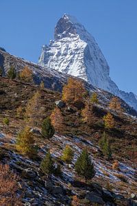 Zermatt :  Matterhorn 