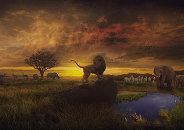 Africa at its most beautiful by Bert Hooijer