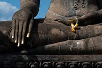 Hand of Buddha