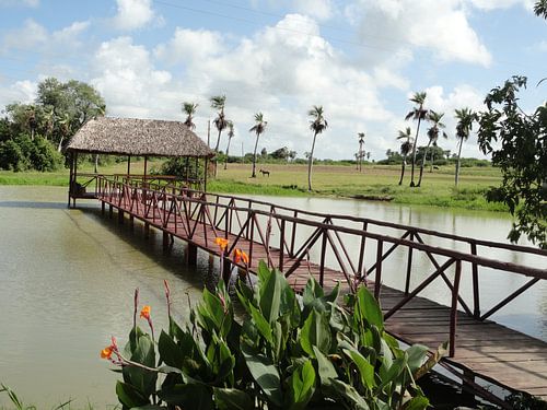 Cuba Vallei van Vinales
