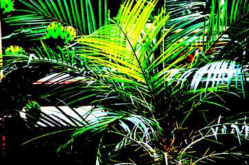 Phoenix Palm (Digitale Kunst) van Hendrie