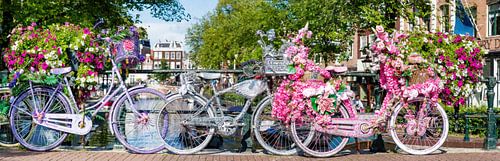 Amsterdam en été : vélos et fleurs sur un pont au-dessus d'un canal dans la belle métropole hollandaise