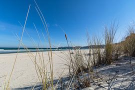 plage de sable fin de la mer Baltique à Binz sur Rügen