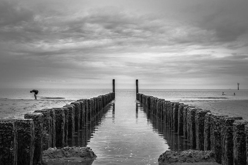 Oblique (Zeeland) by Omri Raviv