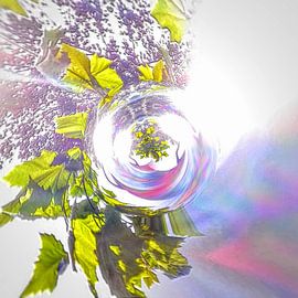 Het voelt als lente! van Nina IoKa