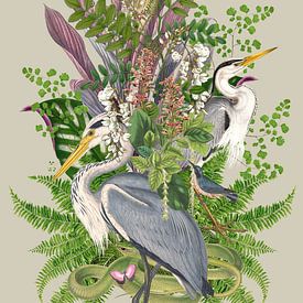 Blauwe Reiger in het Groen van Behindthegray